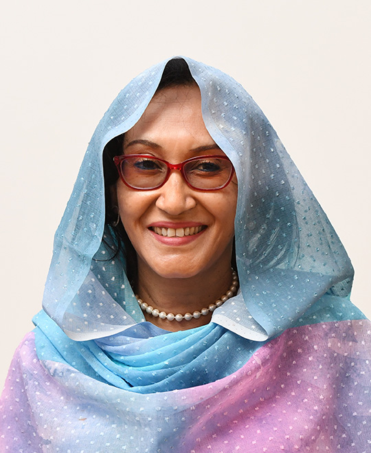 Ambassador of the Republic of the Sudan